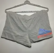 Women's Schwinn Graphic Cycling Club Shorts - Grayson Threads Gray 1X