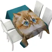 Kittens for Children Cute Innocent Cat Tablecloth