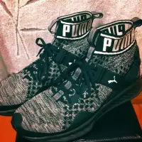 在飛比找蝦皮購物優惠-Puma ignite evoknit