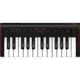 年終出清 IK Multimedia iRig Keys 2 Mini MIDI鍵盤控制器 全新品公司貨【民風樂府】