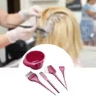 5Pcs Color Bowl Brushes Tool Mixing Bowl Kit for Home or Salon Tint Comb