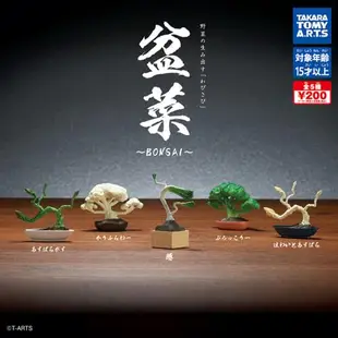 全套5款【日本正版】盆菜 扭蛋 轉蛋 植物 蔬菜 青菜 迷你盆栽 迷你花椰菜 迷你白蘆筍 TAKARA TOMY - 067600