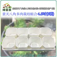 在飛比找Yahoo奇摩購物中心優惠-【綠藝家】景天八角多肉栽培組合4.5吋(5號)(含景天八角盆