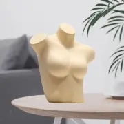 Female Mannequin Torso Decor Versatile Lightweight Bra Mannequin for Home