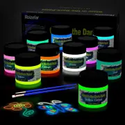 Roizefar Glow in the Dark Acrylic Paint-Set of 10 Colors,3D Permanent Acrylic...
