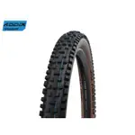 SWB胎TL SCHWALBE NOBBY NIC EVO, TLE