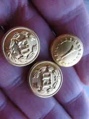 Vintage Buttons 3 Waterbury Fire Department Gold Waterbury Button CONN 5/8" JLY