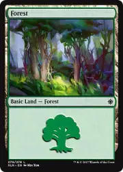MTG Magic - Forest D - Ixalan - Common - Foil Near Mint