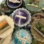 Lot of 30 Yankee Candle Wax Tarts Nature Scents Oak Rainforest Storm Watch +more