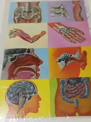 Vintage Body Organs Skeleton Embossed Paper England Scrap Book Crafts Art Crafts