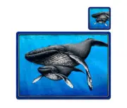 Humpback Whale Animal Set of 6 Dining Vinyl Placemats Decor -TM005 Aussie made