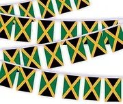 30 PCS Jamaica Flag Bunting,33 FT Jamaican National String Decoration, Decor Banner for Outdoor Indoor Patio Yard Classroom Club