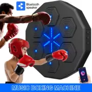 Home Electronic Smart Music Target Boxing Game Machine Wall Mounted Punching Pad