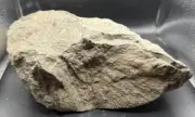 Fossilized Coral Crystal Geode Indiana Quartz Calcite Limestone 13 Lbs