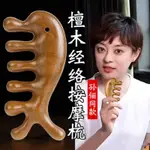 滿額免運📢孫儷推薦】檀木按摩梳頭皮經絡梳五齒頭部養髮頭療木梳子五指梳