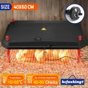 Chick Brooder Heating Plate Heater Chicken Coop Warmer for 40 to 50 Chicks