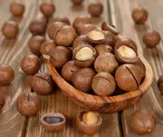 Buy Macadamia A203 Nut Trees (Macadamia sp.)