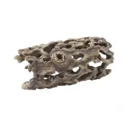 Exo Terra Cholla Cactus Skeleton - Small (PT2986)
