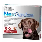 NexGard Flea & Tick Tablets for Dogs 25.1-50kg - 6 Pack (Red) Chewable Tablets