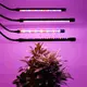 Novavariving Leaf 藍色 LED 柳樹植物燈 4 頭