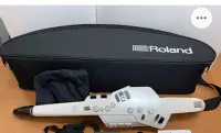 在飛比找Yahoo!奇摩拍賣優惠-律揚樂器之家 二手很新 Roland AE-10 電吹管 電