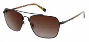 Steve Madden MOTTO Black Matte & Brown Tortoise / Brown Tinted Sunglasses