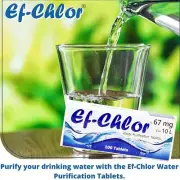 Ef-Chlor 67 mg Water Purification Tablets - Pack of 100 Tablets / 1 Tablet Purif