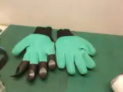 Garden Gloves w Claws on R Hand for Digging Raking Planting Safety