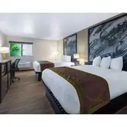 Super 8 St Regis