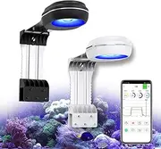 PopBloom RL60 WiFi 60 Watts Aquarium LED Reef Light, Smart-APP Control with Sol Blue Marine LED for Saltwater Coral Fish Tanks (Black)