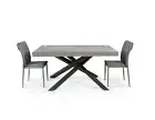 Extendable Table Rectangular Legs Metal Finished Beton Modern
