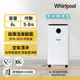 (節能補助、可額外申請退稅500元)Whirlpool惠而浦 6L一級能效除濕機 WDEE061W