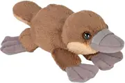 Pocketkins Eco Platypus