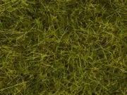 Model Scenery - 07095 - Wild Grass XL Meadow - 12mm
