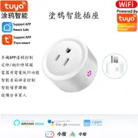 在飛比找蝦皮購物優惠-[開票專區]塗鴉tuya 20A 110V 220V 智能插