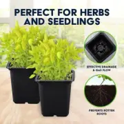Garden Greens 45PK Square Planter Seedling Pots Square Reusable Durable 7.5x 8cm