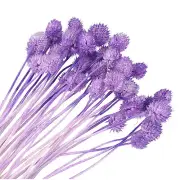 30 Pcs 16 Inch Dried Flowers for Vase Mini Pine Ball Flowers Purple(Stem)