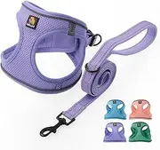 BELLA & PAL Puppy Harness with Leash Set, Dog Harness for Small Dogs No Pull, Dog Leash for Small Dogs, Step in Harness for Extra Small Dogs, Purple Lavender Harness, XXS