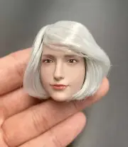 Fire Girl Toys FG066D 1/6 scale Head Sculpt SUNTAN for 12" Figure Doll PHICEN