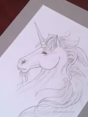 Fantasy UNICORN Pencil Portrait Matted Original Art Artwork Drawing Brandy Woods