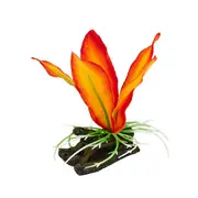 Aqua One Plastic Plant Orange Sword with Log Base Sm