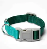 LEGO Collection Target Dog Colorblock Collar Size Small 8" to 12" Green / Teal
