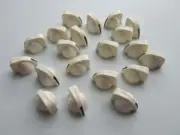 20x Guitar AMP Amplifier Knobs Effect Pedal Knobs Mini Chicken Head Knob White