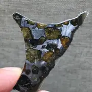 16.75Ct Brenham Olive Meteorite Pendant Olive Meteorite Slice