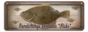 Fluke Summer Flounder Rustic Wall Sign Plaque Gifts Men Sea Fishing Fish Metal