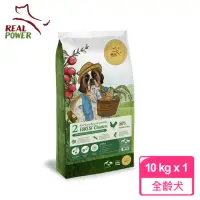 在飛比找momo購物網優惠-【Real Power 瑞威】天然平衡犬糧2號 森林燉雞 1