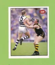 1996 AFL SELECT STICKER #229 GEELONG CATS, 1995 FINALS SERIES HIGHLIGHTS