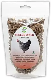 Pisces Enterprises Freezedried Cricket Poultry Treats 50 gm
