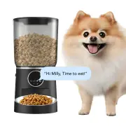 Cheemore Auto Pet Feeder - Black 5L