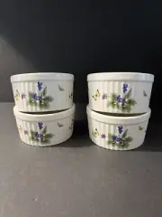Windemere Garden Set Of 4 Ramekins Stoneware New In Box Made in Japan